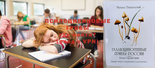 прущий лед Каменка