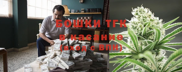 прущий лед Каменка