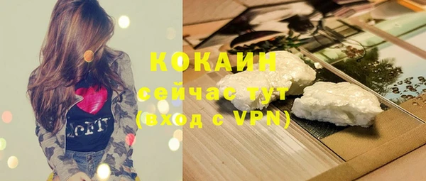 скорость Каменногорск